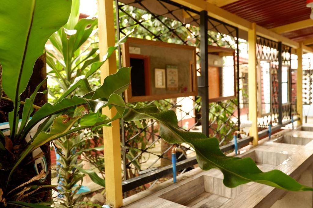 Tropical Breeze Hostel Cebu - Cebu Center Eksteriør bilde